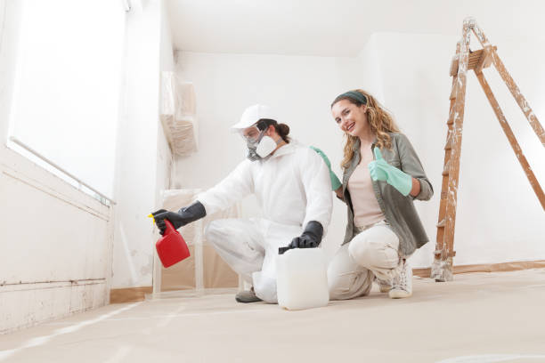 Walnut, IL Mold Removal Company